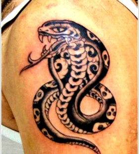 Sweet king cobra arm tattoo