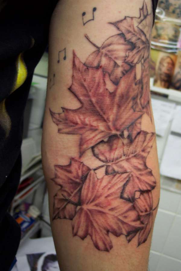 Sweet maple leaves tattoo