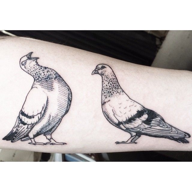 Sweet pigeons tattoo design