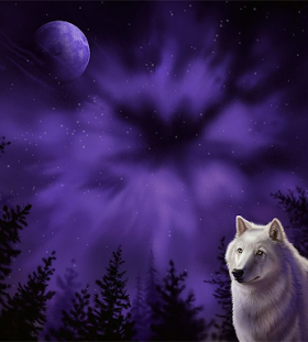 Wolf Moon2