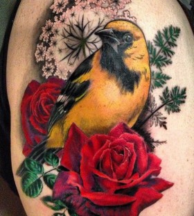 Wonderful bird and roses tattoo by Esther Garcia