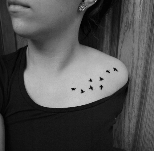 Wonderful birds collarbone tattoo