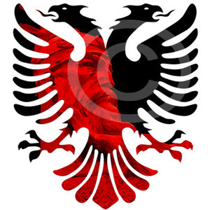 Albanian Eagle Tattoos Sketch