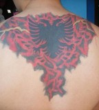 Beautiful Albanian Eagle Tattoo Design on Men's Back