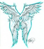 Demon Angel Wings