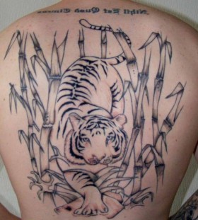 bamboo and tiger back tattoo