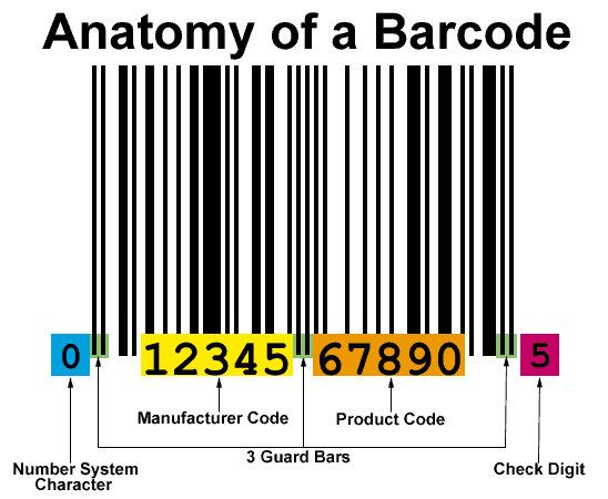 Anatomy of a Barcode Tattoo Meaning