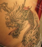 Special Dragon Tattoo By Will Koffman