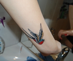 Amazing Blue Head Red Body Canary Bird Tattoo on Wrist