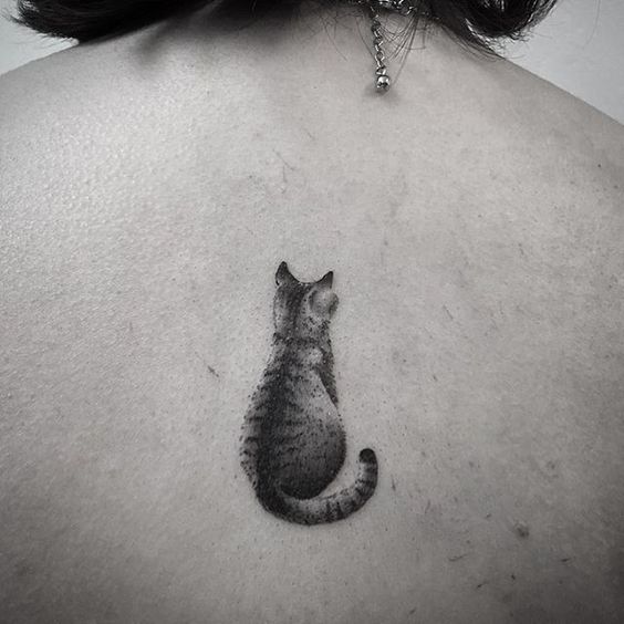 GreyCat Tattoo Studio  ONE LINE  CAT  in memory of C By Cory Resident  artist  GREYCAT TATTOO STUDIO via Garibaldi 27 Saló CONTACT   3926230376 INSTA httpswwwinstagramcomcorygreycattattoo  Facebook