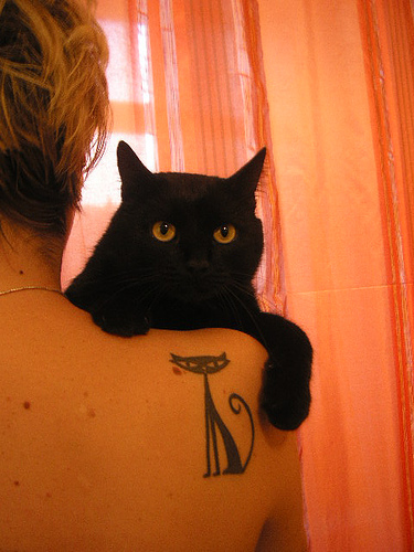 Thin Black Cat Tattoo on Shoulder