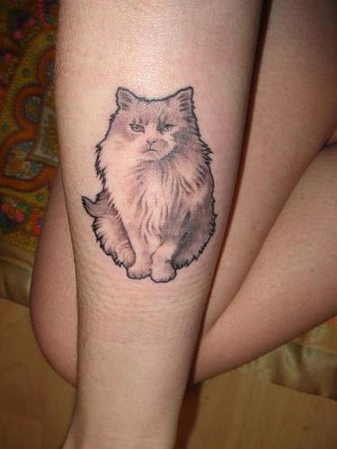 Hairy Cat Calf Tattoo for Girl