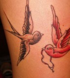 40 Impressive Sparrow Tattoos Slodive