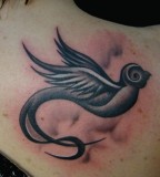 A Collection Of Sparrow Tattoo Designs