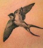 The Love And Loyalty Of Swallow Tattoos Tattoo Articles Ratta