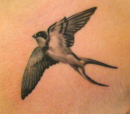 The Love And Loyalty Of Swallow Tattoos Tattoo Articles Ratta