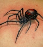 Simple 3D Black Widow Spider Tattoo 