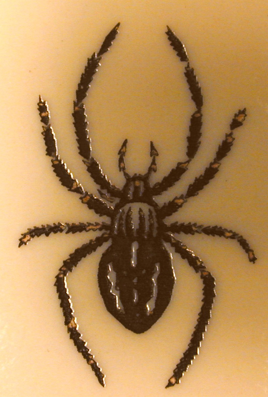 Cobweb Spiders Black Widow Tattoo Design