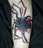 3D Black Widow Spider Tattoos On Hand