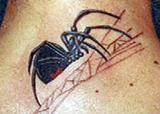 Exotic Black Widow Spider Webs Tattoos