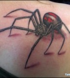 Black And Red Widow Spider Tattoos Spider 
