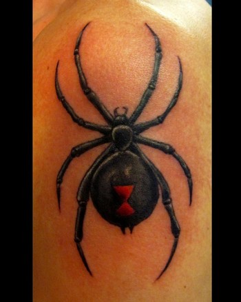 Chloe Off The Map Tattoo Animal Black Widow Spider