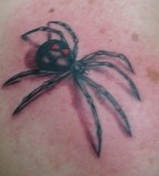 Best Black Widow Spider Tattoo For Man