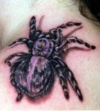 3D Black Widow Spider Web Tattoos And Meanings
