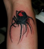 Cool 3D Black Widow Spider Tattoos