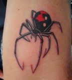 Black Widow Spider Tattoos Pictures Information