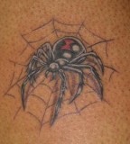 Tattoos Black Widow Spider Webs By Chris Posey
