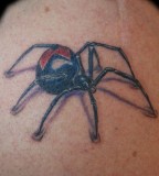 James Cook Black Widow Tattoo Design