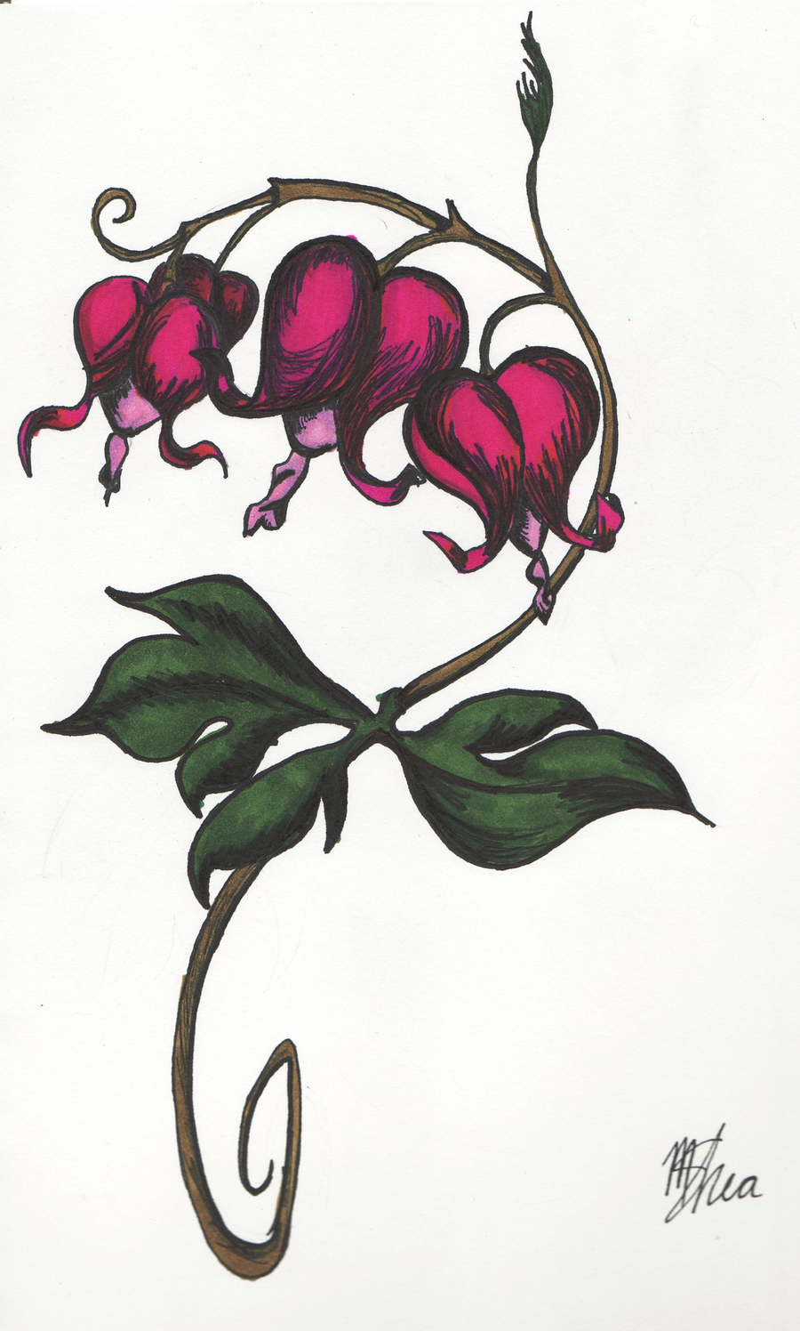 Bleeding Heart Flowers Heart Sketch Tattoo for Men and Women