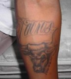 The Forearms Bulls Head Tattoo
