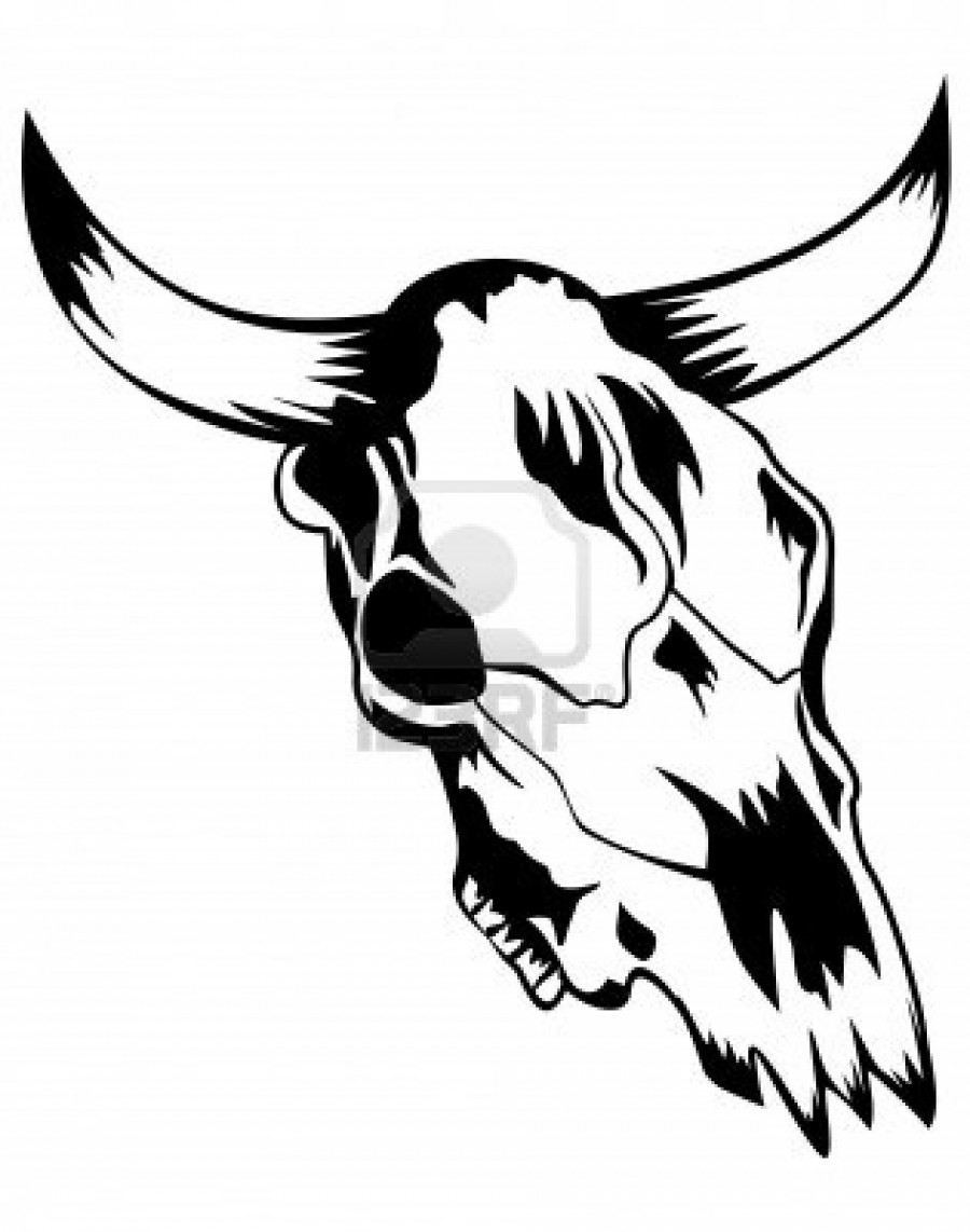 Bull Head Skull Sketches Design
