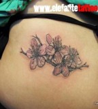 Cherry Blossoms Butt Tattoo (NSFW)