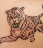 Tattoo Bar Siem Reap Cambodia Tiger