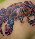 Astrology Tattoos Pictures Amp Information on Girls Body
