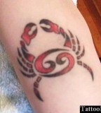 Cancer Zodiac Sign Arm Tattoo Pictures Photo