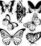 Celtic Butterfly Tattoo Sketch Design Ideas