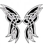 Celtic Tattoo Butterfly Tattoo Sketch design