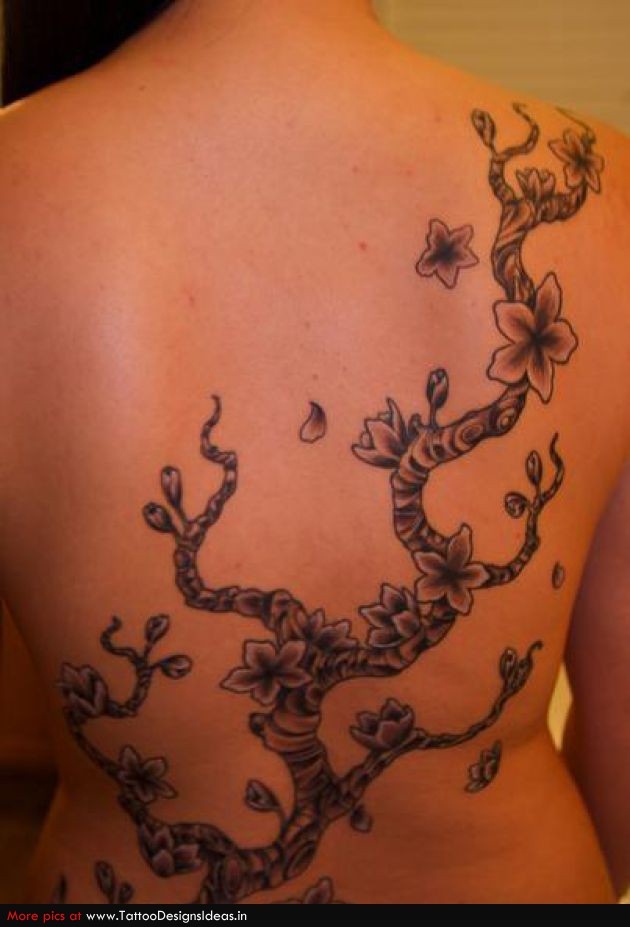 Tatto Design Of Cherry Blossom Tattoo on Woman’s Back