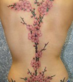 Cool Cherry Blossom Tree Tattoo Design on Woman's Back
