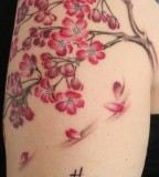 Cherry Tree Branches And Blossoms Tattoo