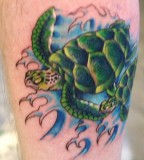 Choose Your Cool Turtle 3d Tattoo