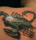 Cool 3d Scorpion Tattoo