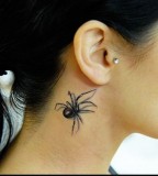 Latest New 3d Tattoos Spider Designs