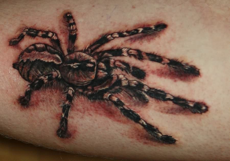 Spider 3d For Animals Tattoo