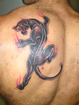Crawling Panther Tattoo on Back Shoulder