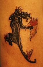 Black Panther Tattoo Scratching